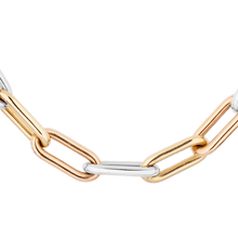 Load image into Gallery viewer, Tricolor Oval Link Chain Necklace
